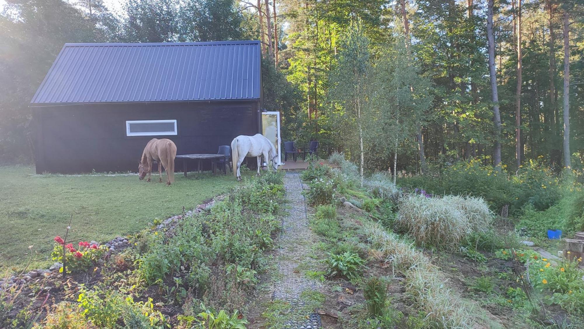 Modern Sauna Cabin In Horse Ranch Liyeplauke Zewnętrze zdjęcie