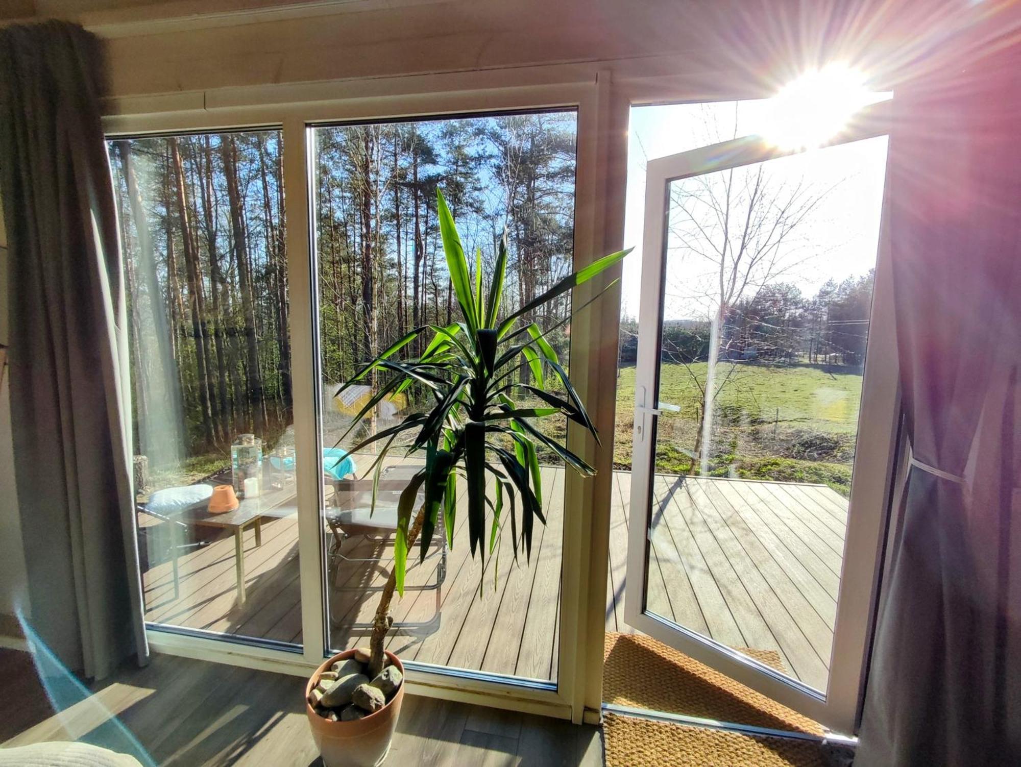Modern Sauna Cabin In Horse Ranch Liyeplauke Zewnętrze zdjęcie